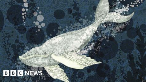 rina palenkova video twitter|Blue Whale: What is the truth behind an online 'suicide .